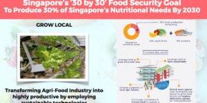 Singapore-30-by-30-food-security-goal